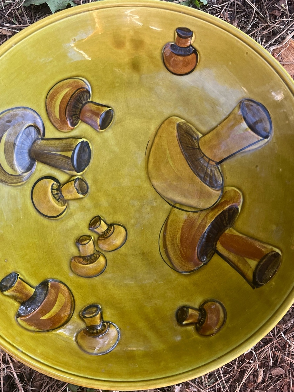 Vintage Hand-Painted Mushroom Serving Bowl.  Large 14” Diameter